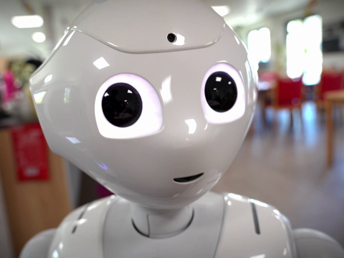 Der Roboter Pepper blickt in die Kamera.